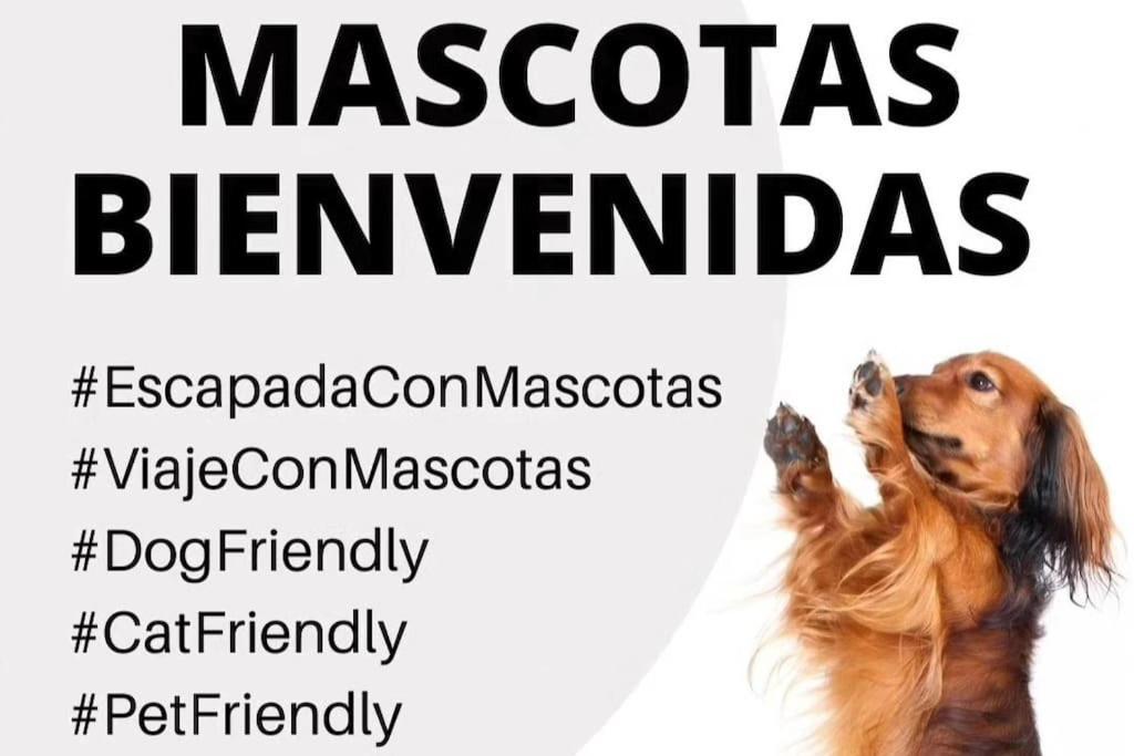 La Caseta De Rotova - Casa Rural Para Desconectar 外观 照片