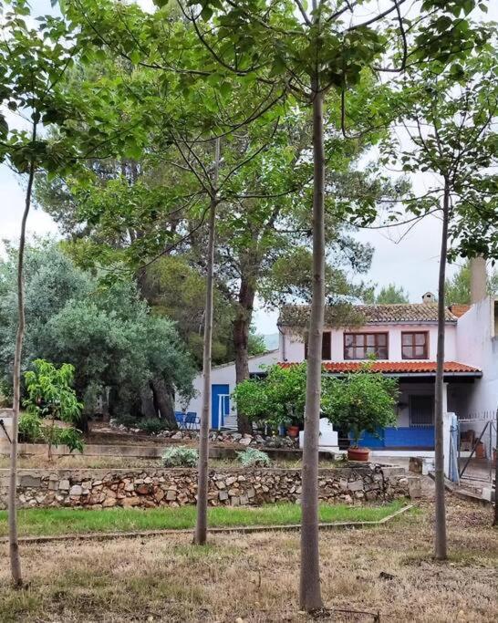 La Caseta De Rotova - Casa Rural Para Desconectar 外观 照片