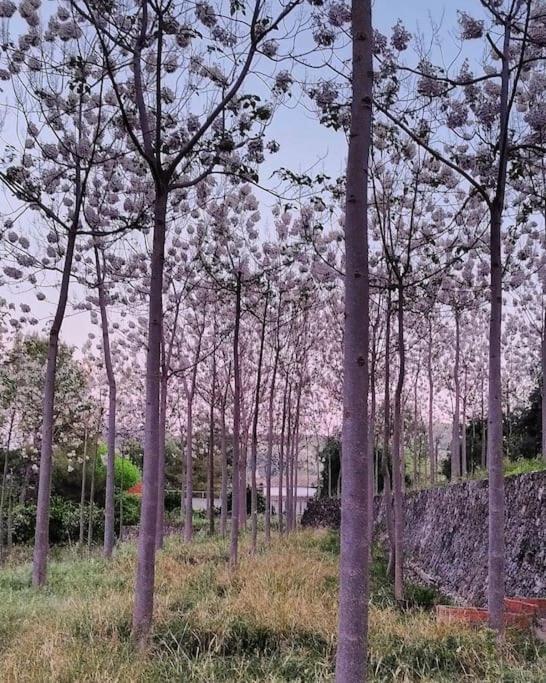 La Caseta De Rotova - Casa Rural Para Desconectar 外观 照片