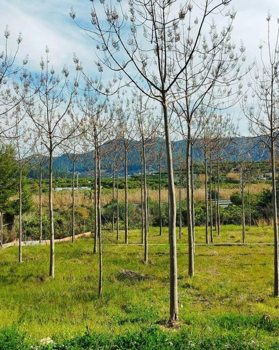 La Caseta De Rotova - Casa Rural Para Desconectar 外观 照片